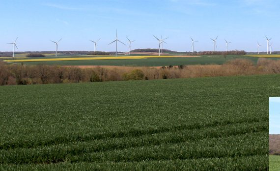 Ecocide de l'arbre de la croix notre dame détruit par l'éolien dans la somme